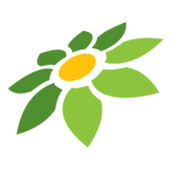 LINK NEXUS88